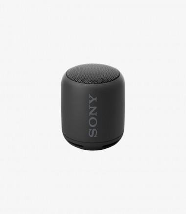 Sony Speaker